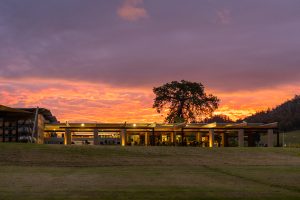 A modern building with large windows and a flat roof is illuminated from within at sunset. The sky is vibrant with orange and pink hues. A large tree stands beside the building, and hills are visible in the background.