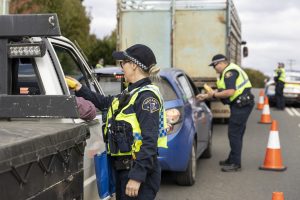 Police officers conduct a roadside check, inspecting vehicles and checking documents. Two officers engage with drivers, while traffic cones guide the flow. Multiple cars are stopped on the road.