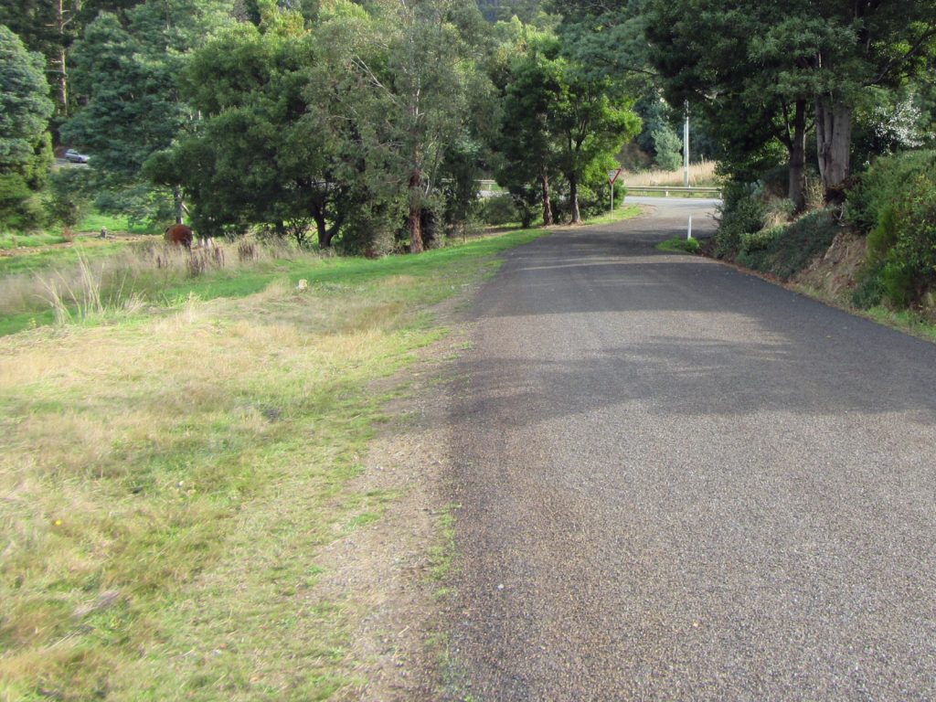 A narrow paved path curves through a lush, green landscape with tall trees on either side. Grass edges the road, and a small brown animal is visible in the distance. The scene is peaceful and natural.