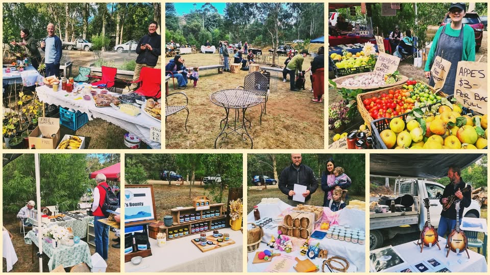A collage of a farmers market featuring various stalls: fruits and vegetables, jams, baked goods, and crafts. People are browsing and relaxing at tables in a park setting with trees in the background. Signs and prices are visible on some items.