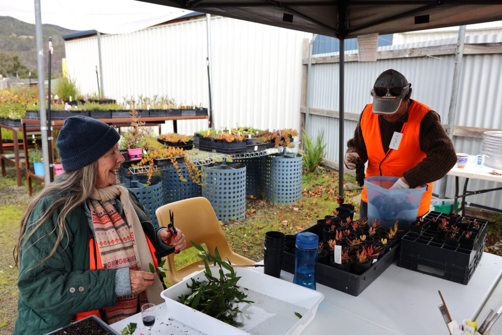 Two people in bright orange vests work at an outdoor table under a canopy, sorting and potting small plants. Trays of seedlings and gardening supplies are visible around them, with a shed and plants in the background.