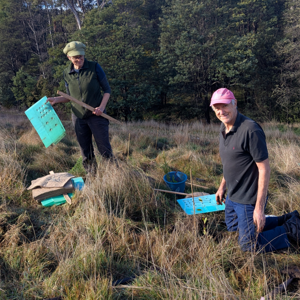 Two people kneel and stand on grass in a field, working with blue-green boxes and tools, surrounded by tall grass and trees in the background. Both are wearing hats and casual clothing.