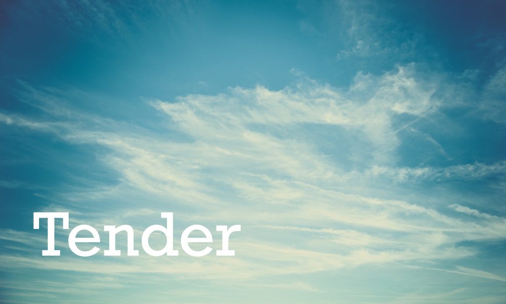 A calm sky with wispy white clouds and a blue gradient background. The word “Tender” appears in large, white, bold letters in the lower left corner.