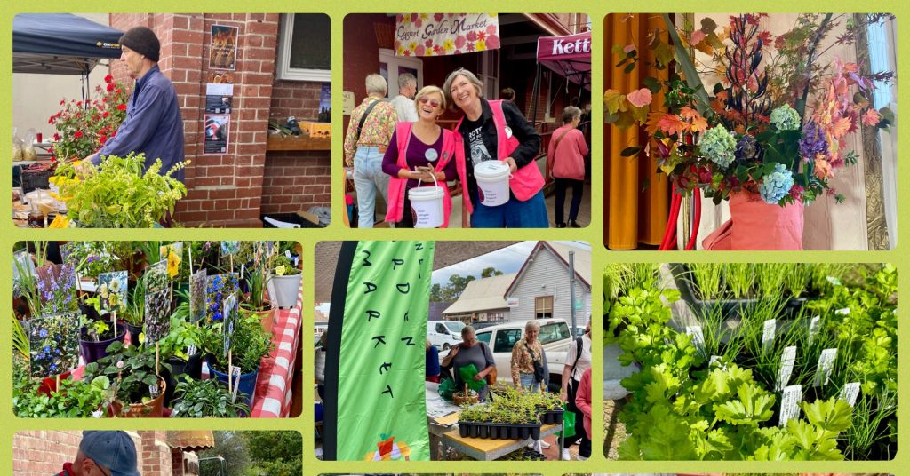 A collage of a lively outdoor market features people shopping for flowers, plants, and herbs, musicians performing, families interacting, and vibrant floral arrangements displayed on tables.