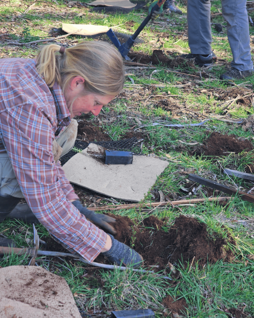 A person with blond hair in a ponytail and wearing a plaid shirt and gloves is kneeling on the grass, planting a small sapling in the ground. Soil and gardening tools are scattered nearby.