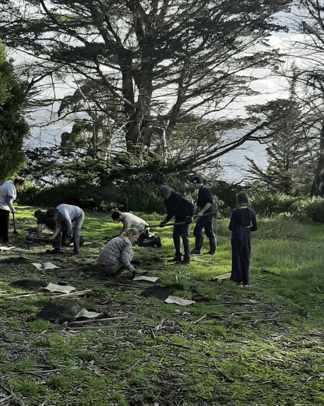 A group of people work together outdoors on a grassy area, digging and tending the ground under tall trees with sunlight filtering through. Some kneel while others stand and watch, surrounded by patches of soil and scattered tools.