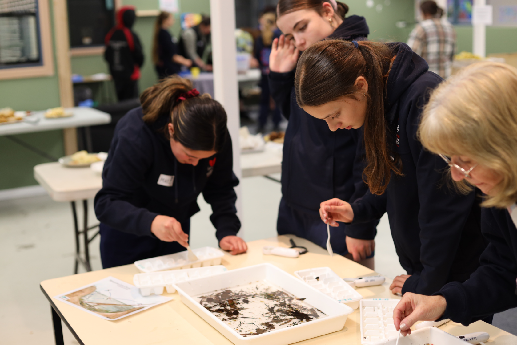 Four people closely examine trays of water samples and small objects on a table in a classroom setting, appearing focused and engaged in a hands-on science activity.