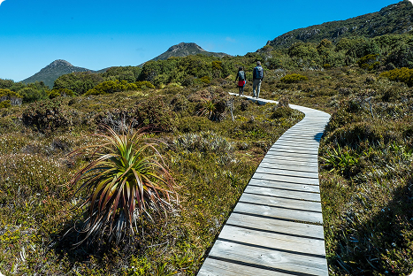 Two people walk along a winding wooden boardwalk through grassy, mountainous terrain under a clear blue sky, surrounded by green shrubs and distant peaks.
