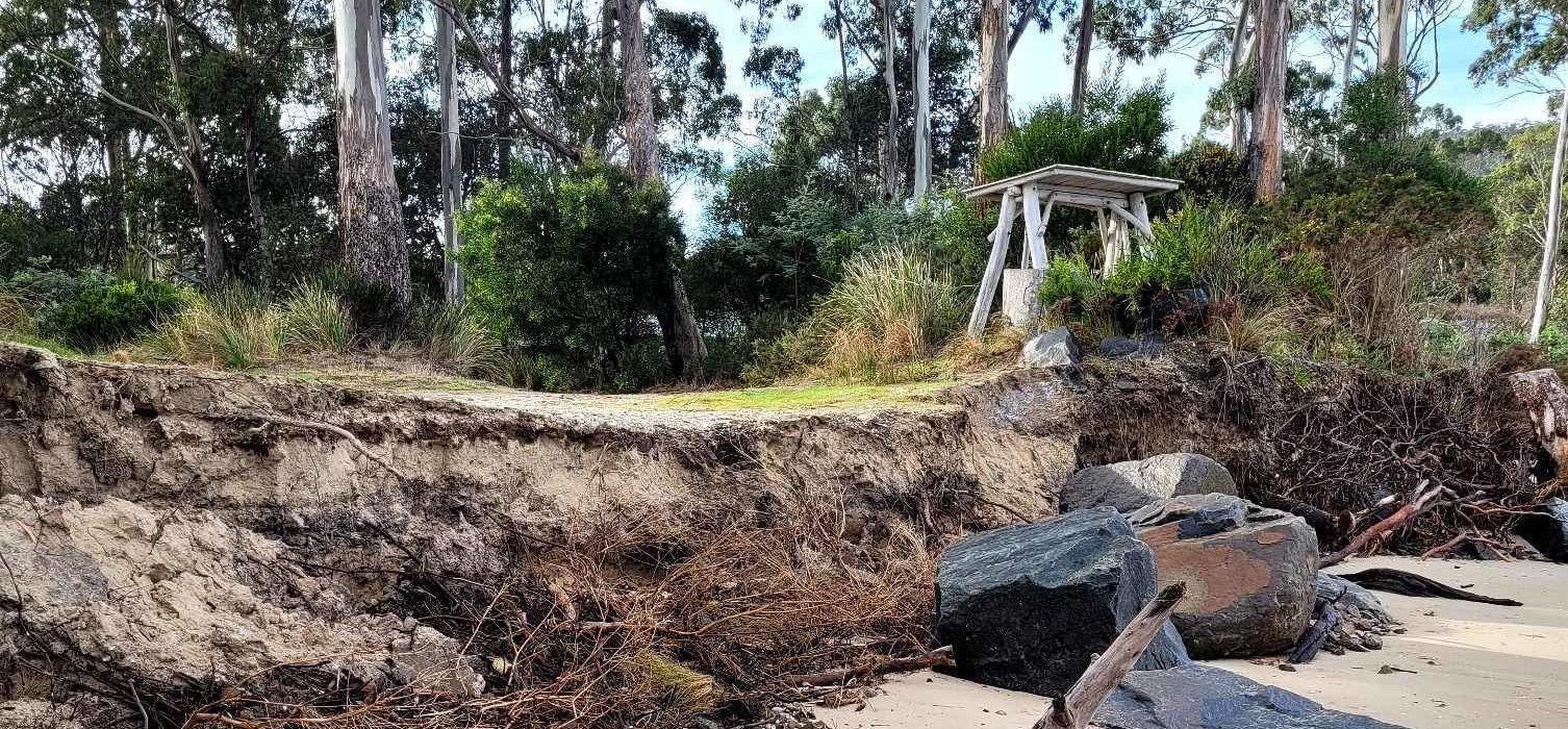 Eroded sandy cliff with exposed roots and rocks at the base, next to a beach. Dense trees and shrubs grow at the top, with a rustic wooden bench visible among the greenery.