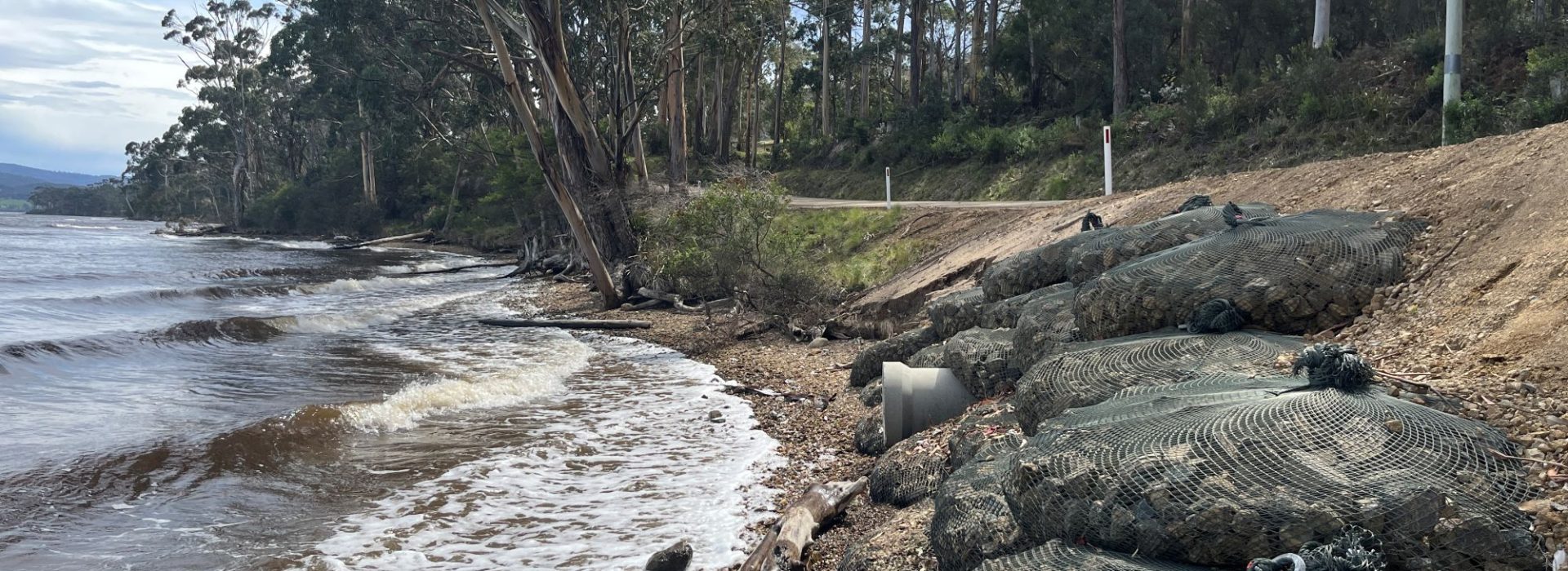 Large mesh-covered rocks line a shoreline beside a forested area and a narrow road. Waves from the water reach the rocks, and tall trees stand in the background under a partly cloudy sky.