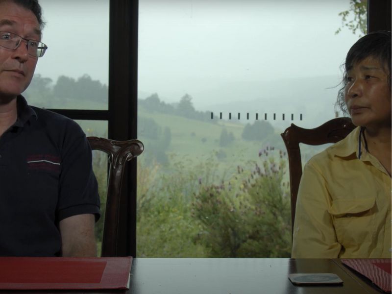 Two people sit at a table indoors in front of a large window, with a misty green landscape visible outside. The man on the left wears glasses and a dark shirt; the woman on the right has short hair and wears a yellow shirt.