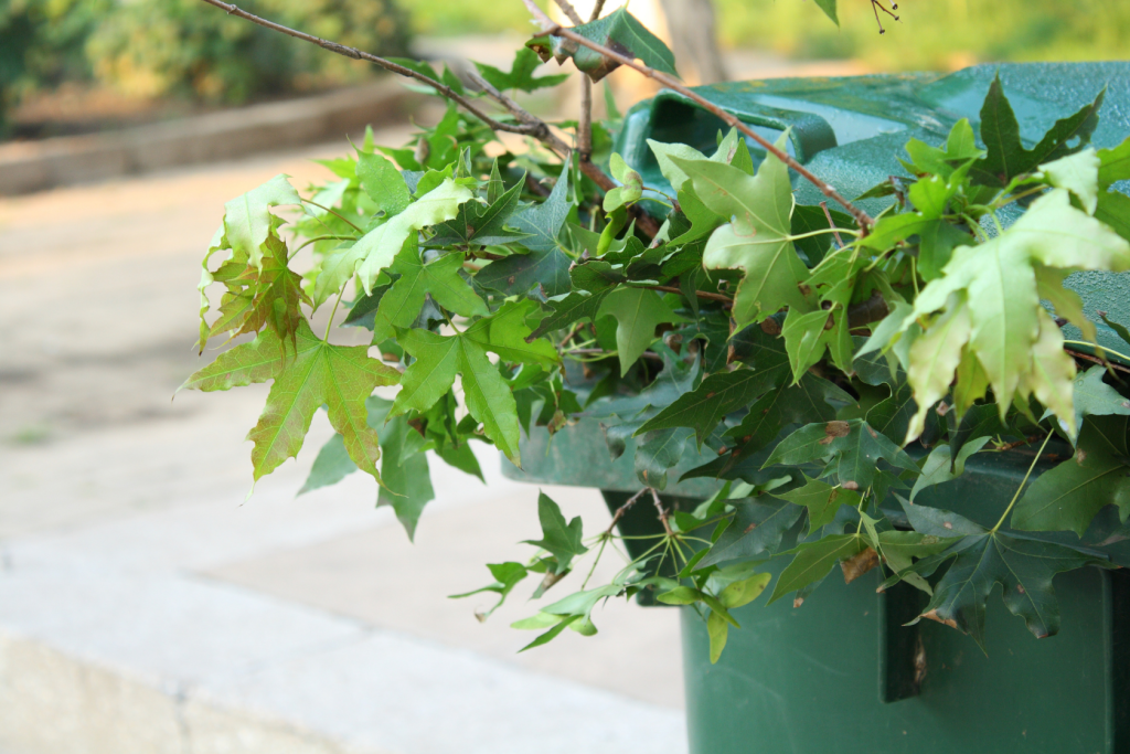 A branch with green leaves sticks out of a green outdoor trash bin, with a blurred pavement and greenery in the background.