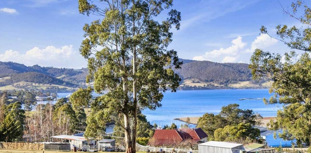 A large tree stands in the foreground overlooking a blue lake, with hills and scattered houses featuring red and gray roofs set among greenery under a partly cloudy sky.