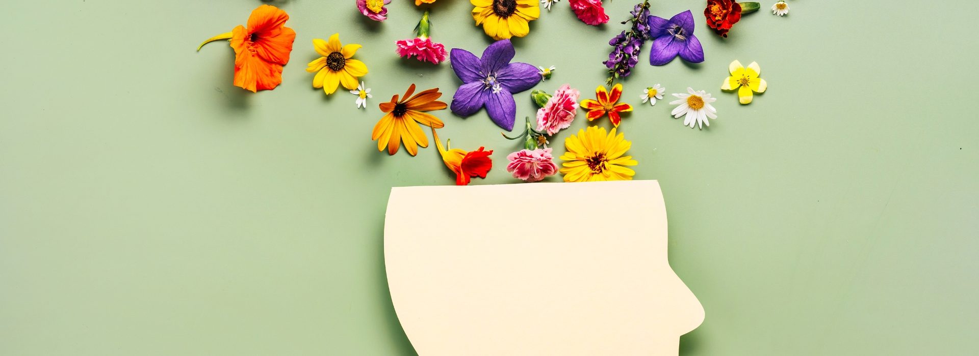 A paper cutout of a human head with colorful flowers emerging from the top, set against a green background, symbolizing creativity, imagination, or mental well-being.