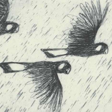 A sketch-style drawing of three birds in flight, with dark, textured wings and tails, set against a light background with diagonal lines suggesting rain or wind.