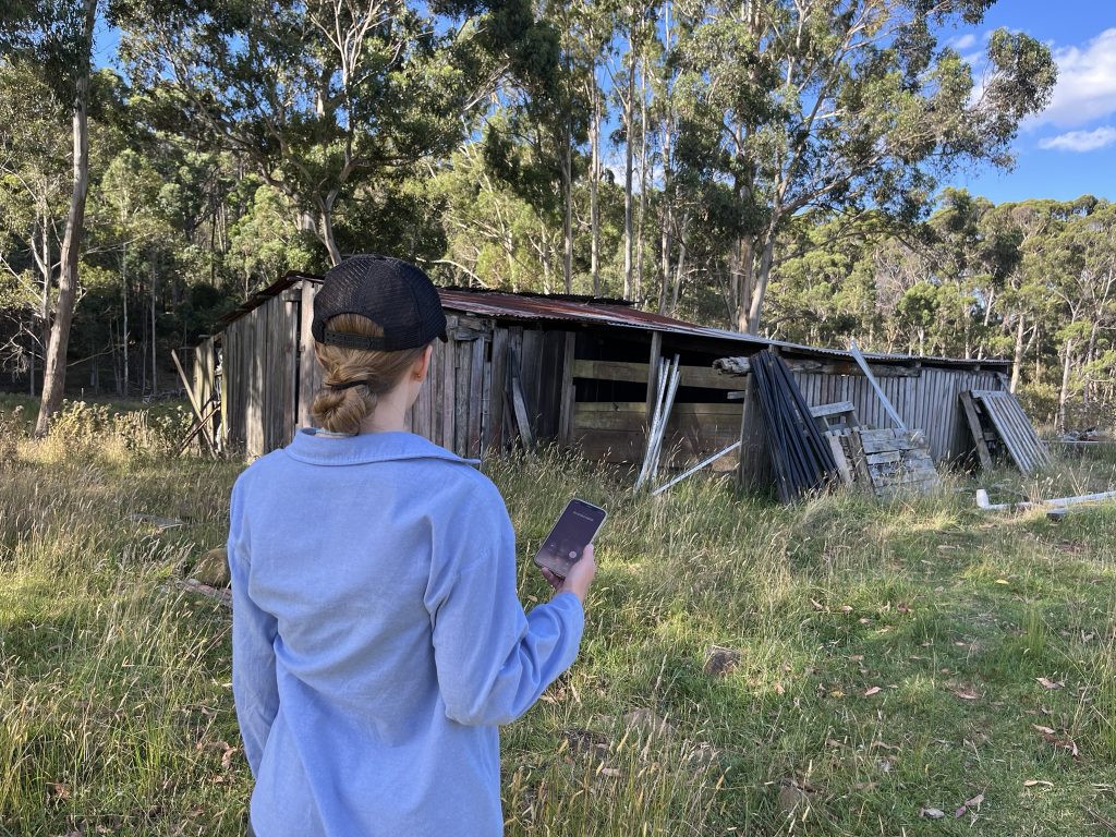 A person in a blue shirt and black cap stands in long grass, holding a phone, and faces an old, weathered wooden shed surrounded by tall trees under a blue sky with scattered clouds.